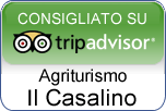 Trip Advisor